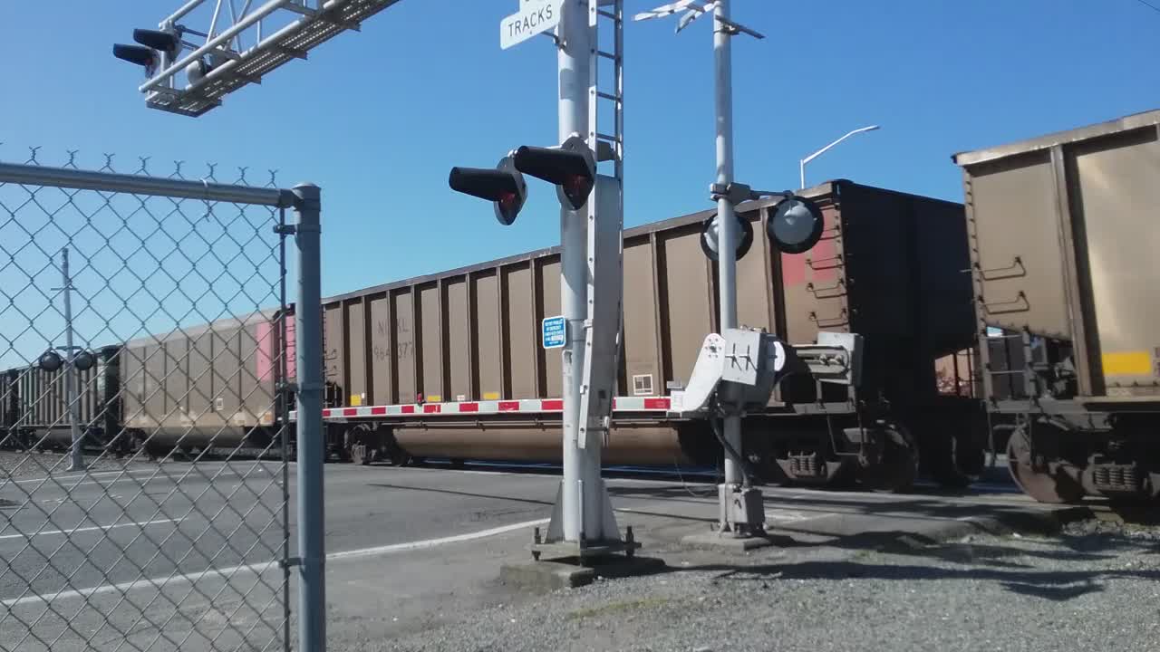 BNSF coal freight train in Kent, WA on 4/16/2021