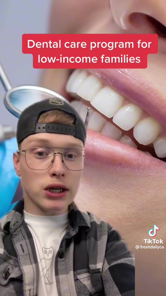 Tiktoker explains ndp liberal fusion