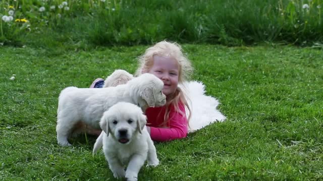 Beautiful little girl playing with a puppy in nature