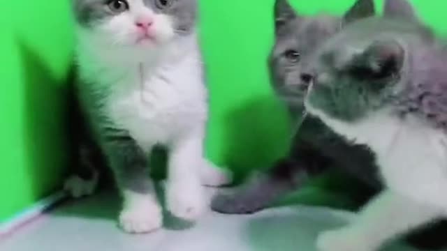 brown pussy naughty