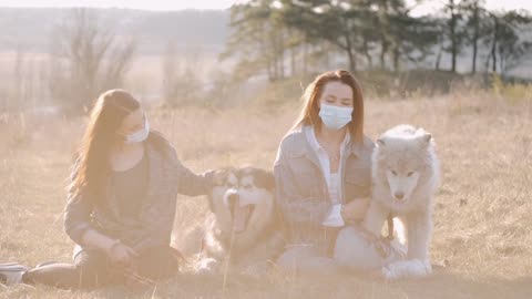 Cute and lovely doggy 🐕🥰