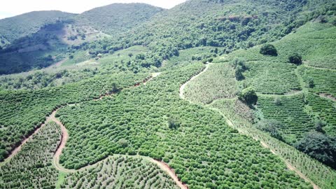 Fazenda Cedro