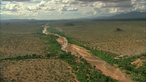 The Frontline of Elephant Protection | This Wild Life | BBC Earth