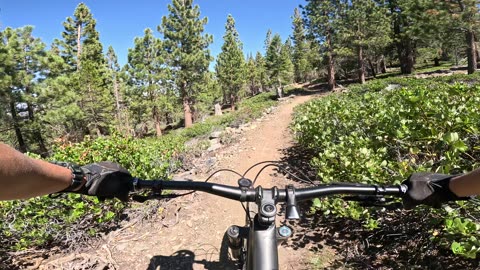 [MTB] Capitol to Tahoe Trail (Tahoe, NV); Part 3