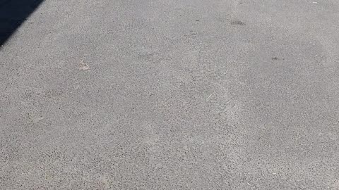 How I almost lost my phone left on top a moving car. #Testimonies