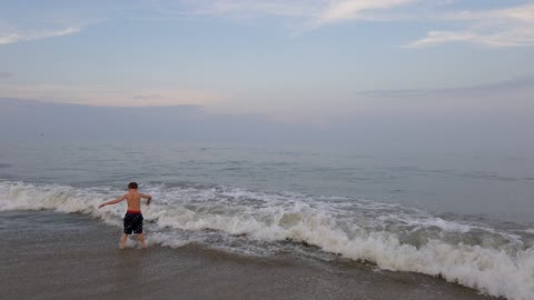 Dolphins Close to Shore Ocean City, MD