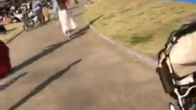 First seen cherry blossoms