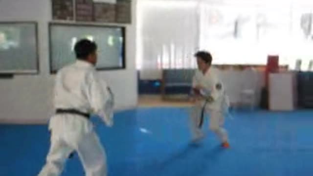 Hapkido