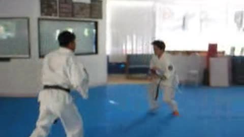 Hapkido
