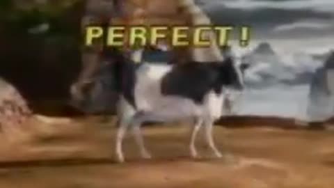 Tekken 3 cow clip