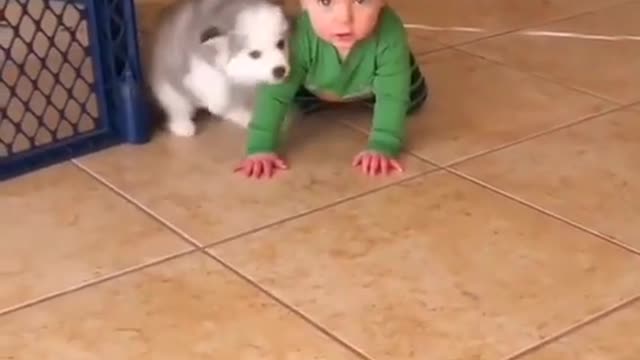 Baby 👶 and cute dog 🐶 #foryoupage #4u #animlas #cuteanimals #viral #4upage #wee #cutie #viral