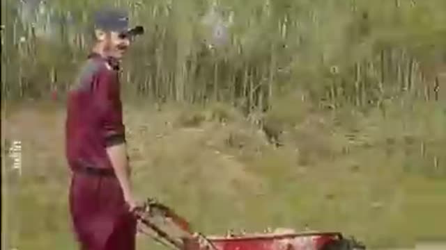 Need for speed!