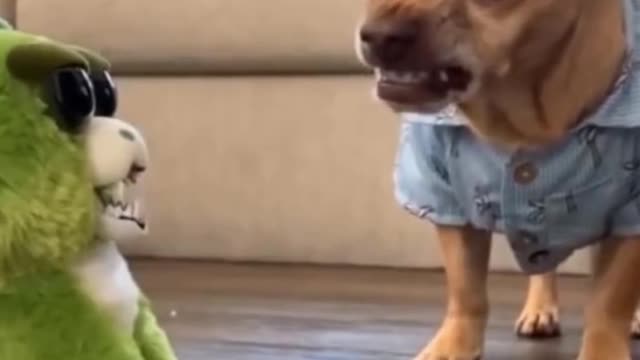 Dog Imitates A Toy #Funny #video