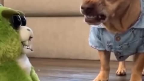 Dog Imitates A Toy #Funny #video