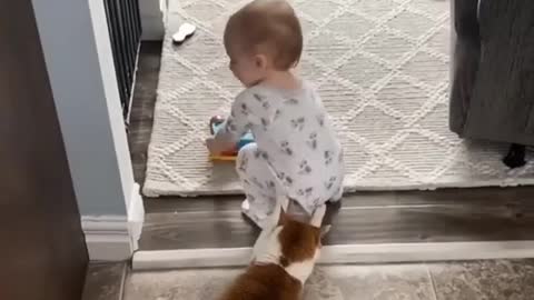 a child having fun with his little animal