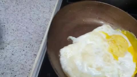 Fried egg