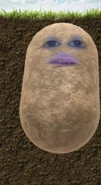 A potato trying to make it to become a fry