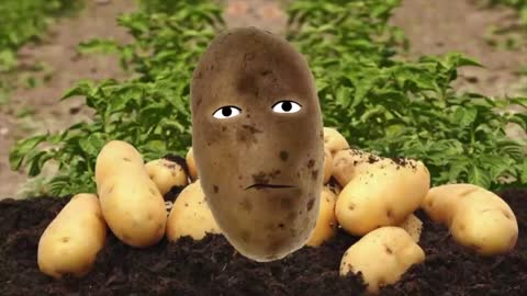 Potato, potahto