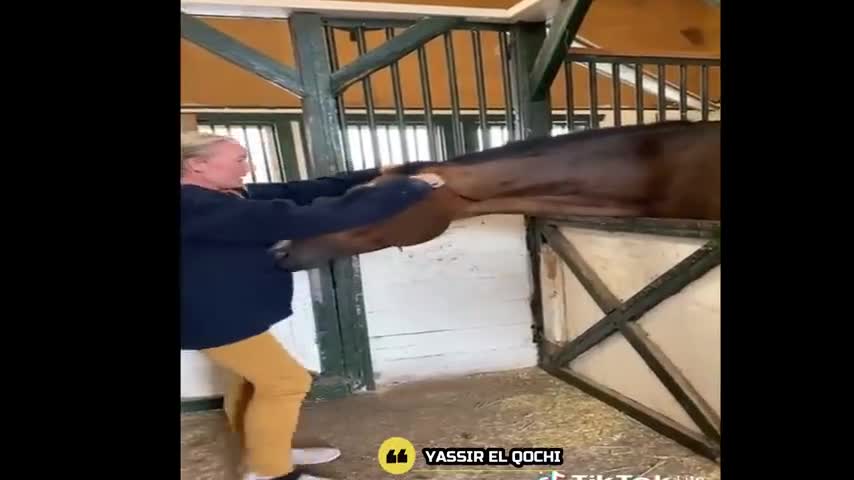 Funny vidéos 😁😂😂