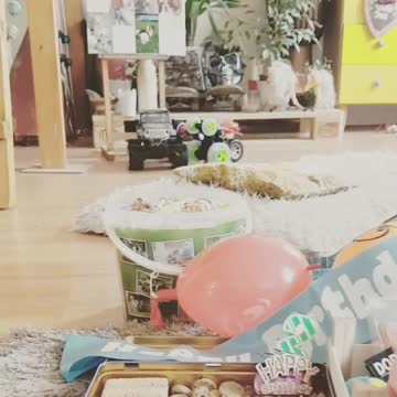 happy birthday Sunnw jack russel dog birthday