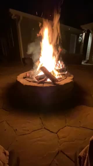 Firecrackers in the pines.