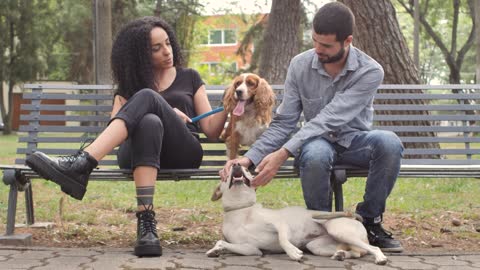 Couple with dogs resting on park bench