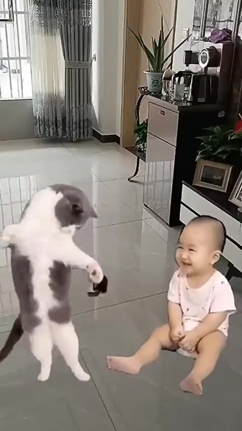 Si ade sampe ngakak liatnya