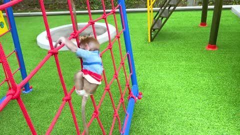 Cute Monkey Baby Bom Bom eats fruit jelly and swim in the pool enjoy