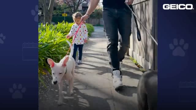 2 year-old girl convinces her mom to adopt a deaf puppy