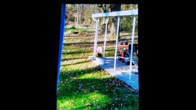 chipmunk chased onto a pinwheel