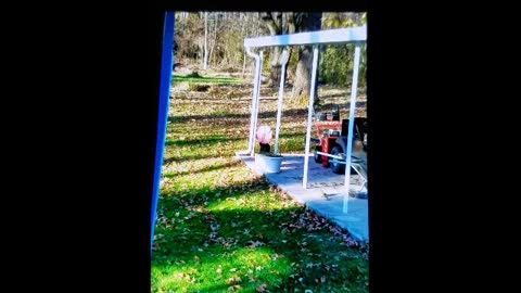 chipmunk chased onto a pinwheel