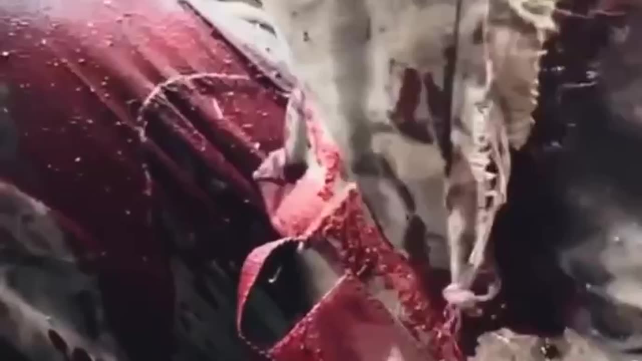 A shell flew right into the trench to the militants of the Armed Forces of Ukraine