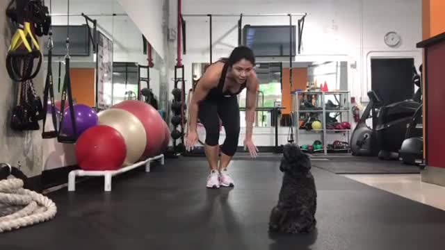 Black dog working out with owner