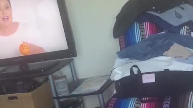 Cat trying to catch string in slow motion but misses