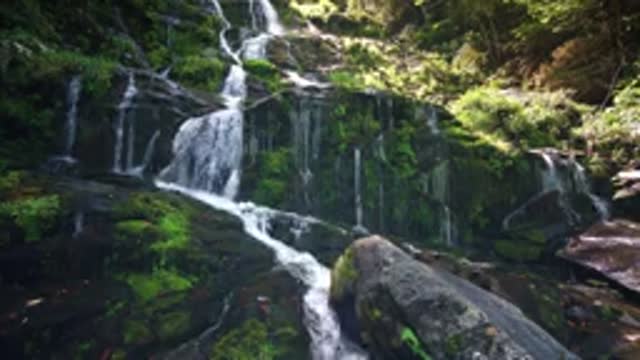 Relax with waterfall natural sounds of White Noise Sounds for DR and Meditation ASMR_v144P