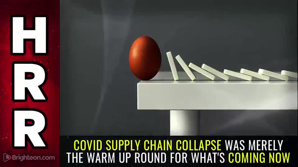 Special Report - Covid Supply Chain Collapse was Merely the WARM UP ROUND For Whats Coming Now