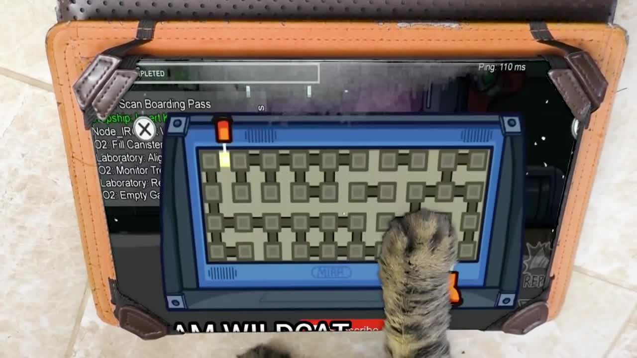 Among Us is not appropriate for THIS CATS
