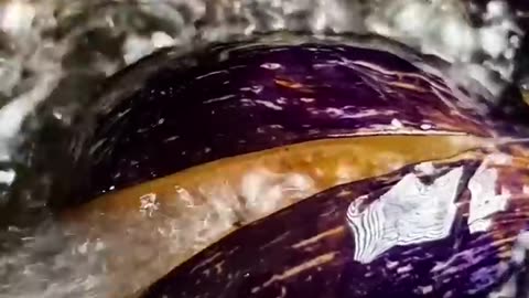 Eggplant Fritters (#Shorts)