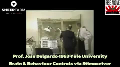 💉🧬🧠Mind control - 👿Prof Delgardo, 👿Harari, 👿Schwab & 👿Brin ❗️⚠️❗️