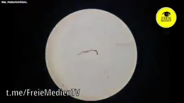 Tlenek grafenu w żelach do dezynfekcji, w dozownikach w sklepach, szkołach, szpitalach...