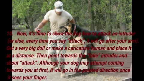 9 Ways To Train Your Dog To Attack On Command