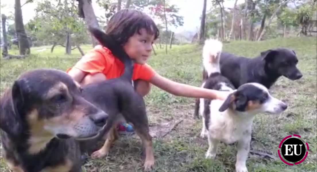 Mi mascota, especial de El Universal
