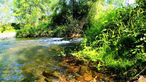 Relaxing Zen Music with Water Sounds /Beauty Of Nature