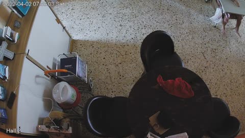 hallmid midnight 20220402