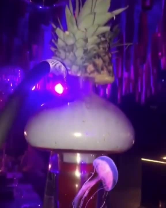 Fury Over Club Serving Glass Hookahs With Live Turtles 02