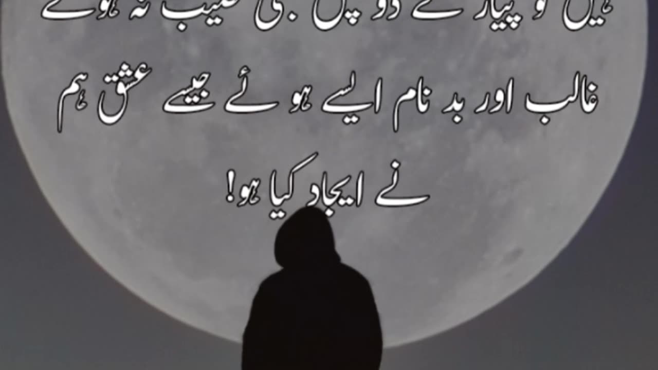 Shayari video| status video| sad status| lovely shayari| shayari status