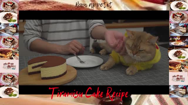 Tiramisu Cake Recipe