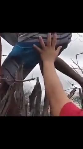 They tried to warn him CLIMBING OVER that fence was a PAIN in the...yea.