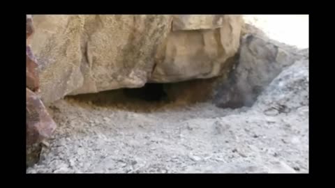 Alien Bodies - Remaining footage from Nazca caves where Alien mummies were found