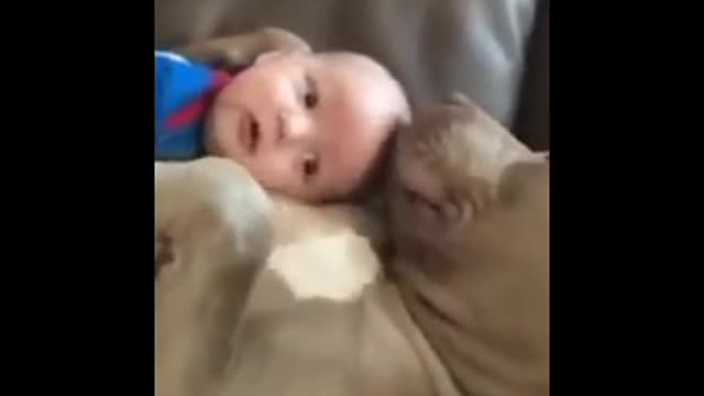 Funny Sweet baby & dog bonding!